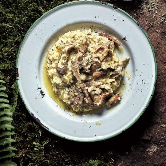 Steinpilzrisotto (c) christian verlag