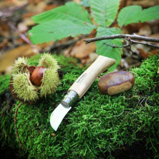 Opinel Kastanienmesser im Wald