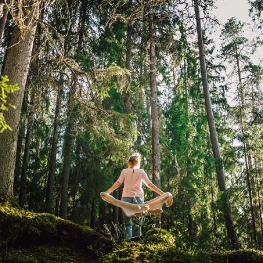 Ursprüngliche Wälder in Lettland erkunden