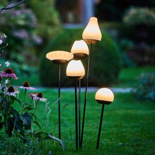 Solar Flowers bei Nacht