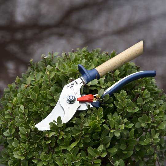 Schneidet kraftvoll: die neue Gartenschere von Opinel