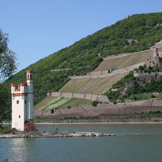 Bingen